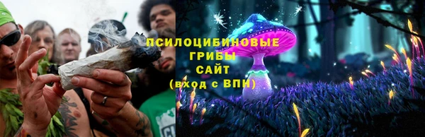 гашик Баксан