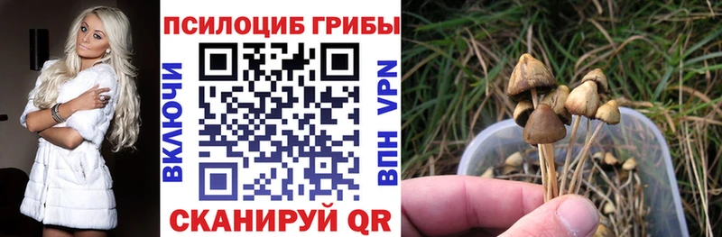 Галлюциногенные грибы MAGIC MUSHROOMS  KRAKEN ТОР  Среднеколымск 